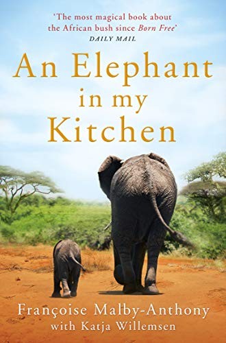 Elephant my kitchen - in,