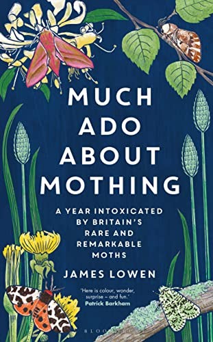 Much ado about mothing - about, mothing: