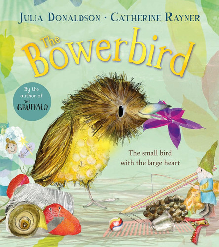 The bowerbird funny and - funny,